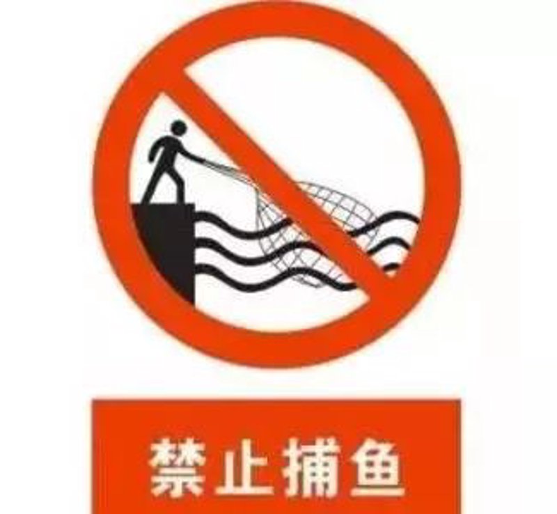 微信开发票电子发票在哪?一份详细解答